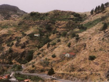 La sequía pone en riesgo la apicultura en Tenerife