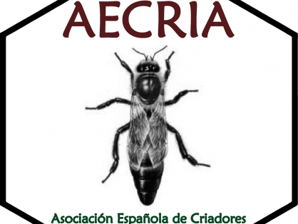 Los criadores alarmados por los precios de abejas reinas
