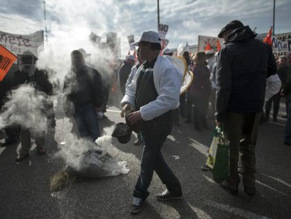 Crisis apícola en España: el rescate de la abeja