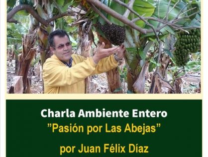 Pasión por las abejas. Charla de Juan Félix Díaz en Agaete