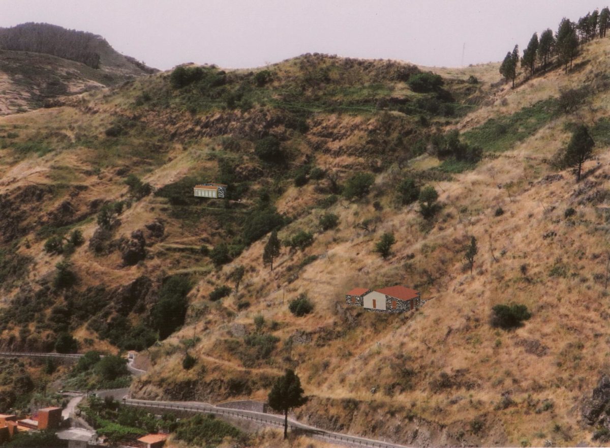 La sequía pone en riesgo la apicultura en Tenerife